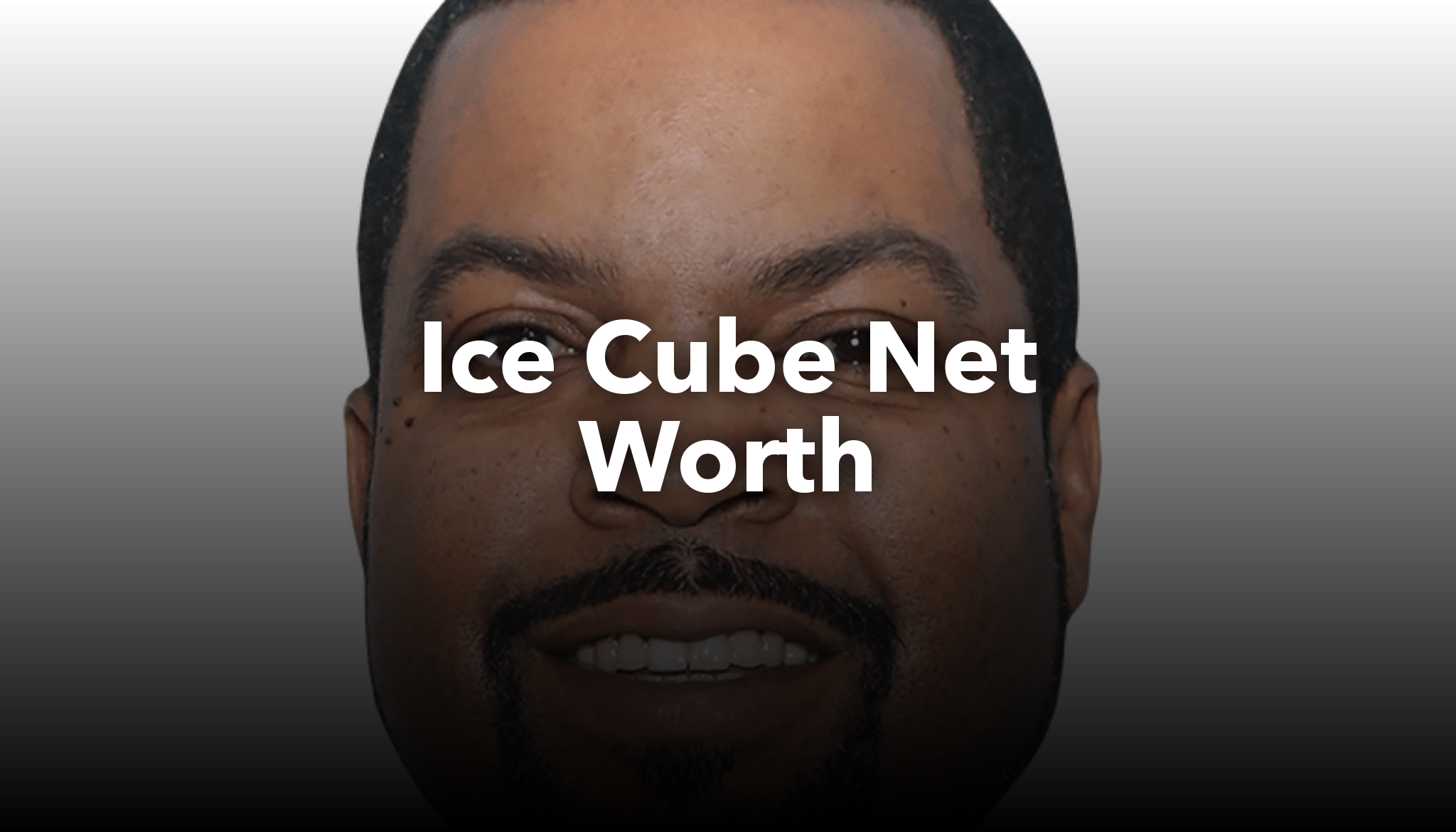 Ice Cube Net Worth nichesss